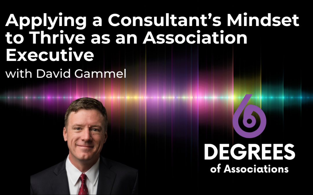 Applying a Consultant’s Mindset to Thrive as an Association Executive